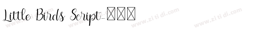Little Birds Script字体转换